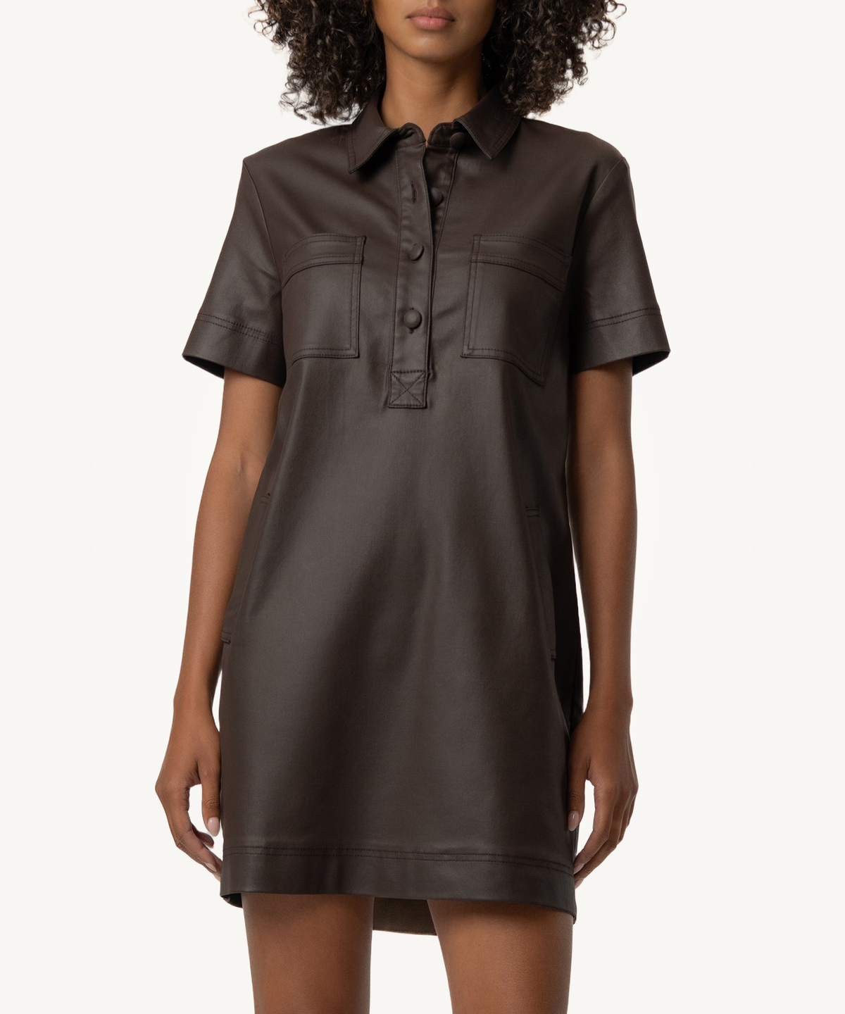 Tatiana Coated Dress in Chocolate